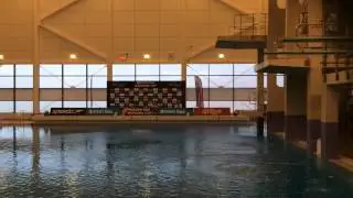 About 30 great dives and 5 absolute beauties from the 2014 British Gas National Cup