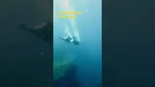 Scuba Diving Mikomoto Island at Shimoda Izu Peninsula Japan