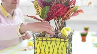 Flower Delivery Edmonton South