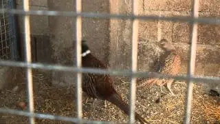 Turismo Rural Labata Dembas de Guara 2