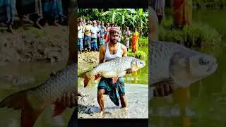 Ancient Techniques to Land a Massive Monster Carp 🐟