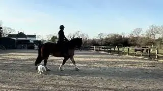 Sunny May and Kim Drake (Prelim 5, December 25)
