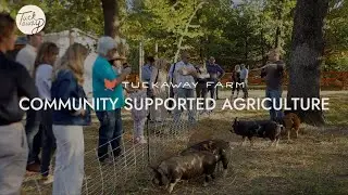 CSA Farms Near Me - Tuckaway Farm Bentonville Arkansas