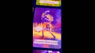 #oraclecards #oraclereadings #allsigns