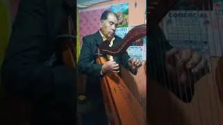 SIERVO   AMADO