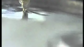 Solderability Test
