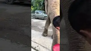 Wildlife & Nature in Chitwan National Park &ndash; Nepal Adventures road trip 1