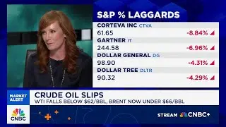 Govt. shutdowns don't tend to last very long, says Citi Wealth's Kate Moore