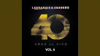 Conclusiones (En Vivo)