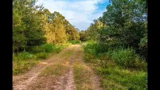 **SOLD** Sandy Fork Ranch - 277 acres - Gonzales Co., TX