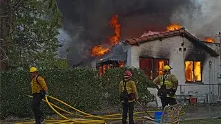 &lsquo;Putting Plants Over People&rsquo;: California Official Criticizes State&rsquo;s Wildfire Management