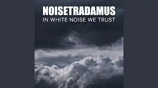In White Noise We Trust