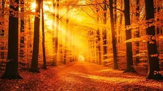 Soothing Autumn Scenery 🍁 Relaxing Music for Nervous System Healing & Deep Peace