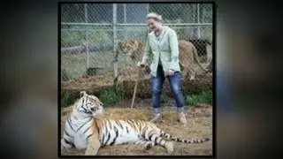 Cat Haven Worker Recalls Deadly Lion Attack