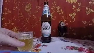 Robert Doms Бельгийский