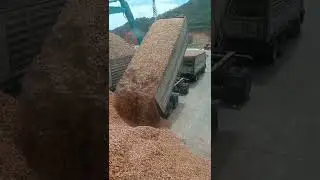 #fyp #viral #heavyhaul #semi #truck #trucking #desel #shorts