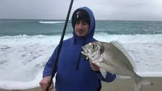 Surfcasting con un mare favoloso in Calabria | Orata con Shimano Aerlex 425CX