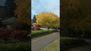 Honour Avenue Macedon ranges Melbourne 2024