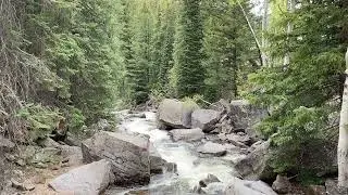 The Roaring Fork River
