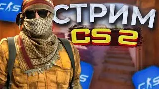 CS2 FACEIT UZB STREAM HEIZOU!