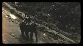 #Amchang Forest #Elephant #Rescue operation