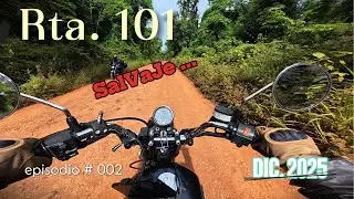 RUTA 101 SALVAJE # 2- #pov