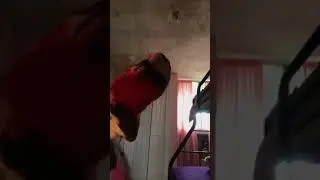 bicolora y pelirojo