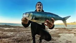 Casting Stickbaits for Salmon - Sydney Rock Fishing - Landbased Fishing Australia