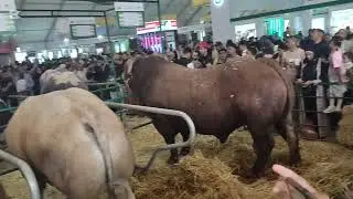 المعرض الفلاحي الدولي بمدينة مكناس تطور والات فلاحية مستجدة تستحق المشاهدة