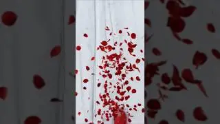 недушная прогулочка выдалась ) 👍🎄🍸🦇🤓🤪💥🐕&zwj;🦺❄🌨