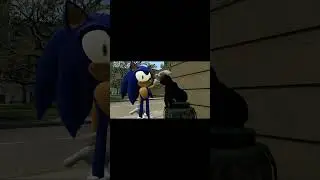 When You See a Stray Cat on the Street