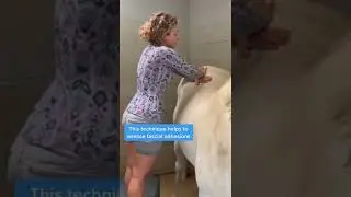 Top Tier Massage Technique for Horses with Lower Back Pain
