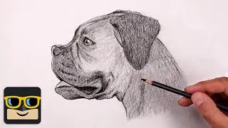 How To Draw a Dog | Boxer Sketch Tutorial