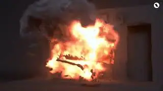 Chaos Phoenix
