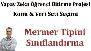 Yapay Zeka ile Bitirme Projesi: Konu ve Veri Seti Se&ccedil;imi 7 Mermer Tipini Tahmin Etme
