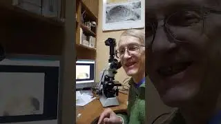 Entomologist Victor Fursov About Egg Parasitoids, Trichogramma, View Under Microscope. Kyiv, Ukraine