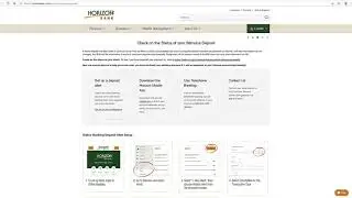 Economic Stimulus Payment Alert Guide