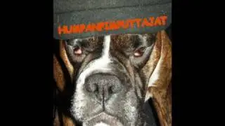 Humpanpimputtajat: Perfect Strangers
