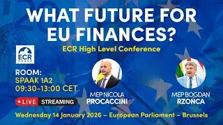 What future for EU finances?