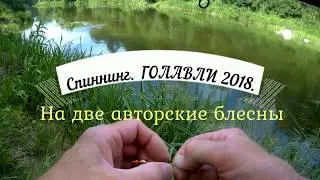 Спиннинг. ГОЛАВЛИ 2018. На две авторские блесны.