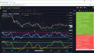 BRS Crypto strategy