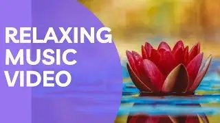 Ultimate Flower Relaxing Music for Tranquility and Stress Relief | Soothing Floral Ambiance