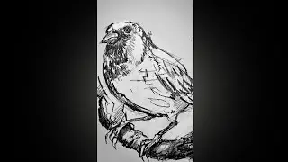 Animal Art - #shorts