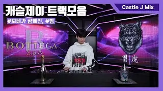 이노래가 캐슬제이 노래였어? 클럽 유행가 캐슬제이 트랙 모음 (Feat.보테가 샴페인,날라리 범 虎)