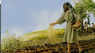 1 Corinthians 3:6 I have planted ,Apollos watered; but God gave the increase.  Go said Jesus amen...