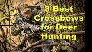 Best crossbows for deer hunting 2020