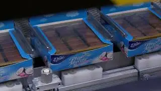 SEALPAC A8 Traysealer Double Lane with Diverger and Polycord Stopper Conveyor for Chocolate