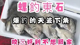 東石螺釣黑鯛2020-1-6 爆咬的天波 （下集）咬況好到不想回家了