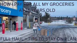 BUDGET GROCERY HAUL AT 16 BUYING MY OWN GROCERIES