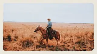 [FREE FOR PROFIT] Young Thug x Shaboozey type beat &ldquo;High Horse&rdquo;